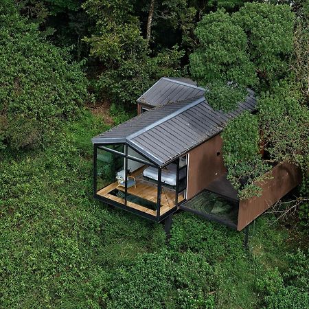 Amalu Luxury View Cabins モンテベルデ エクステリア 写真