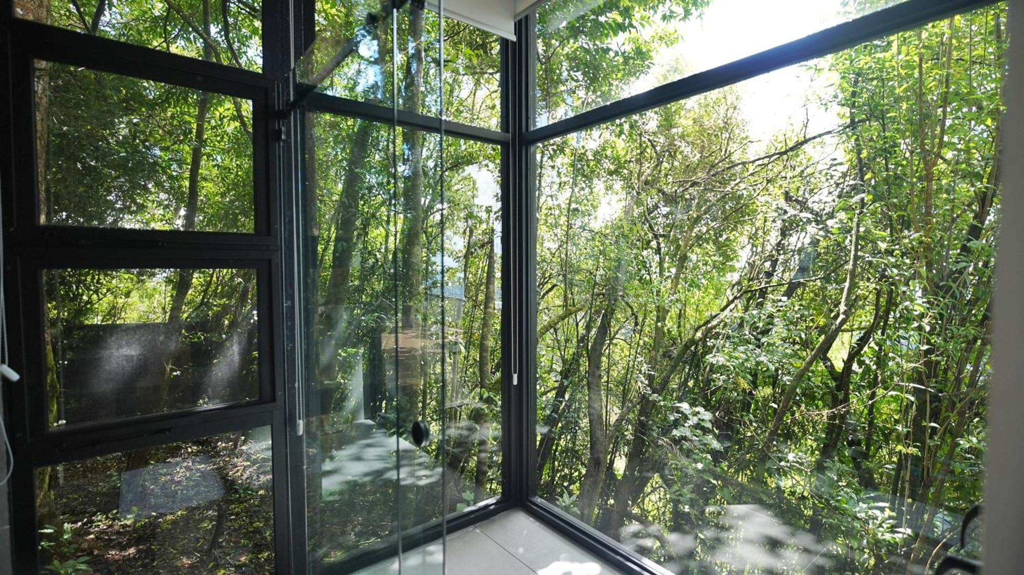Amalu Luxury View Cabins モンテベルデ エクステリア 写真